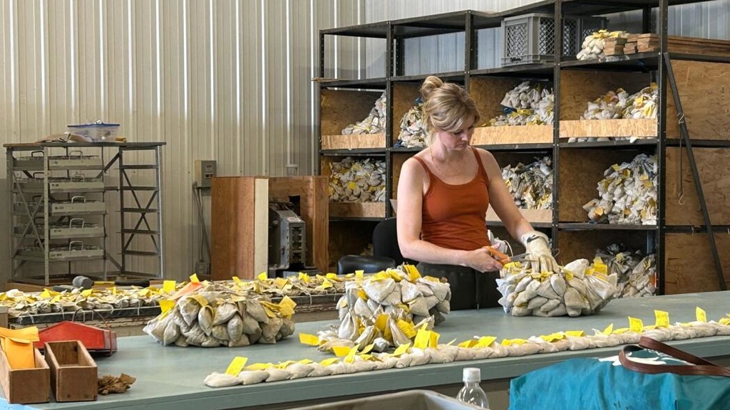 A researcher works in a geologic sample repository