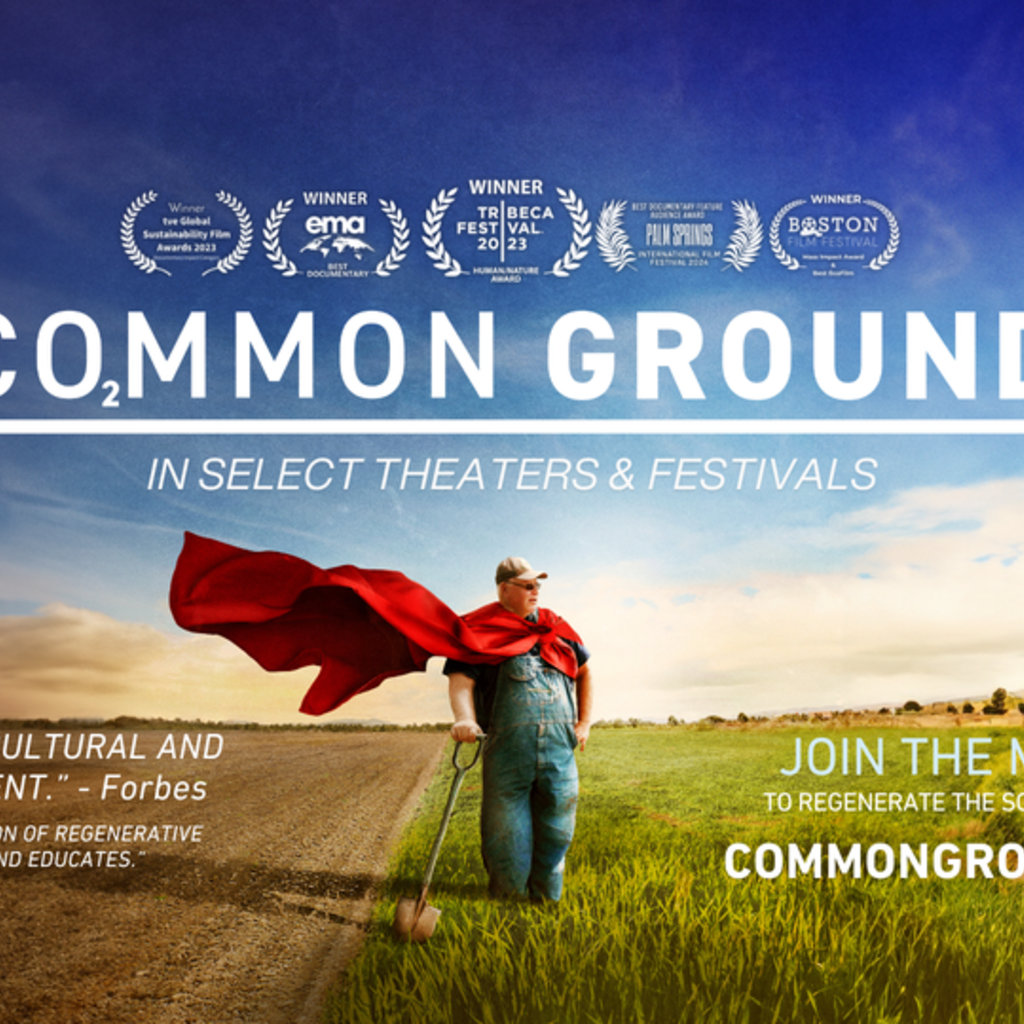 Filmscene | Common Ground promotional image
