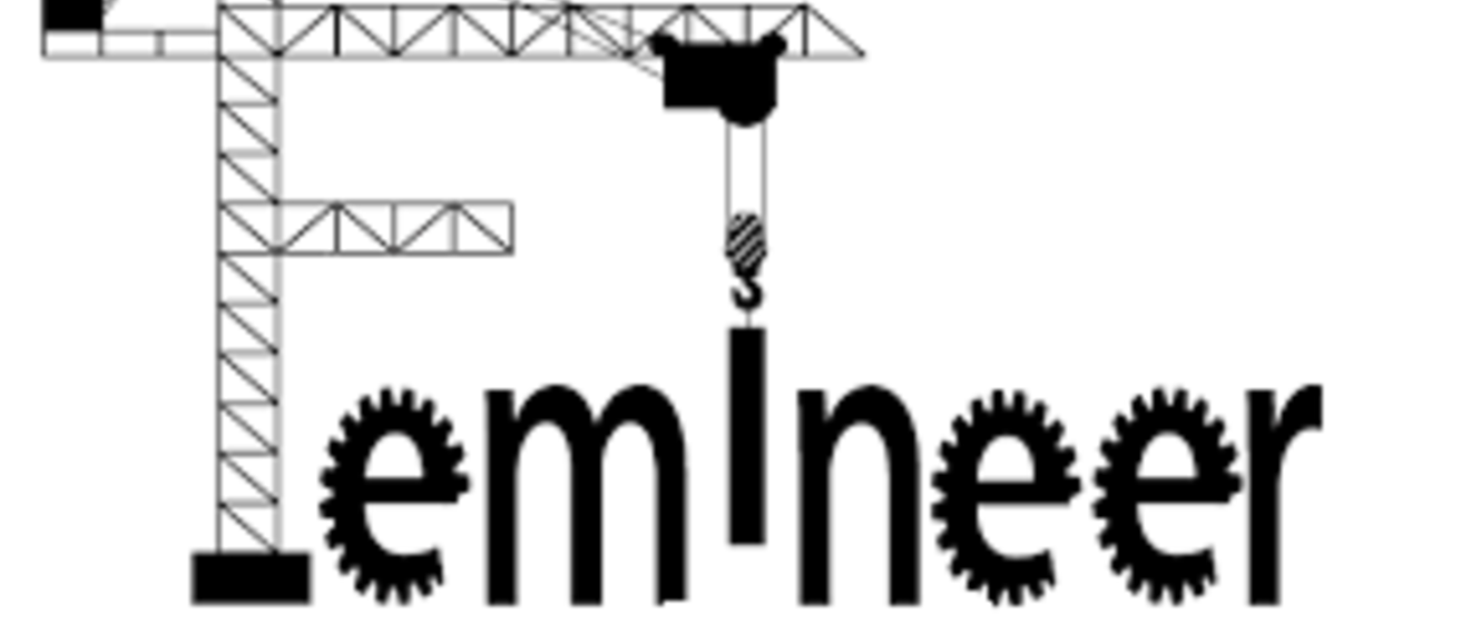 Femineer logo