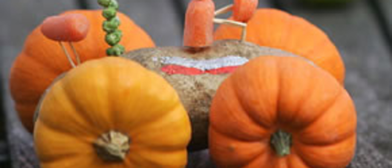 Veggie car with a potato body and pumpkin wheels