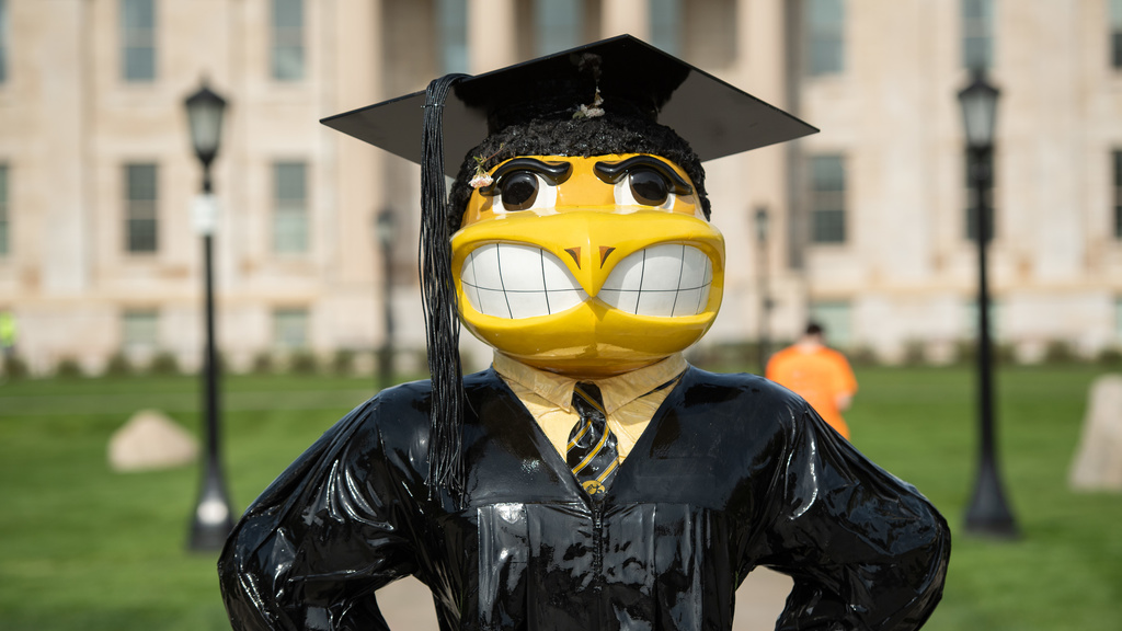 Herky Statue wearing grad cap and gown 